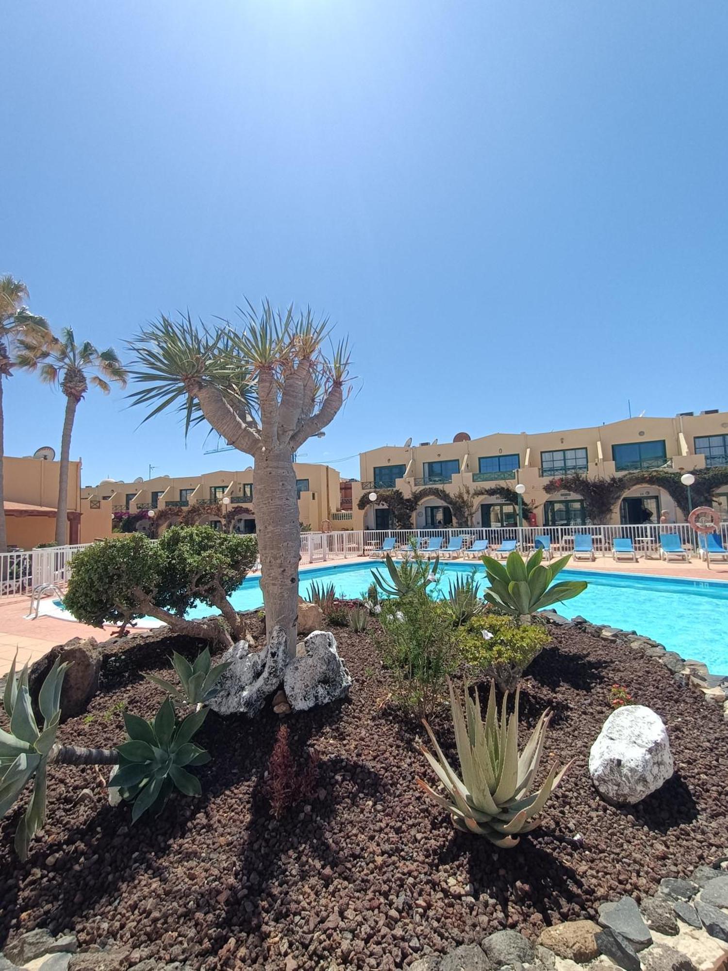 Apartment Castillo Mar - 82